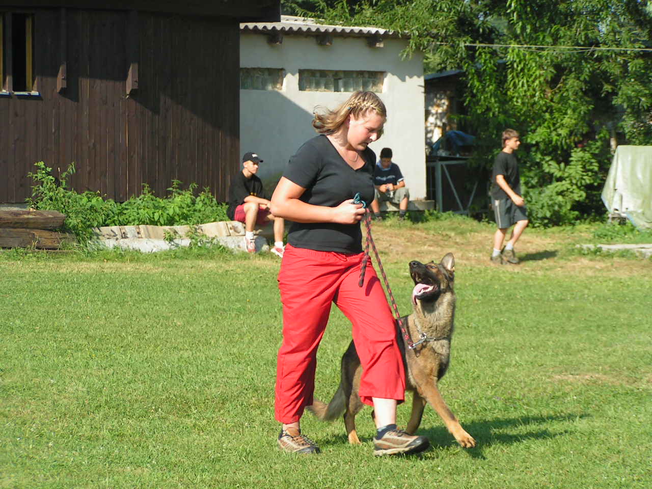 chůze u nohy